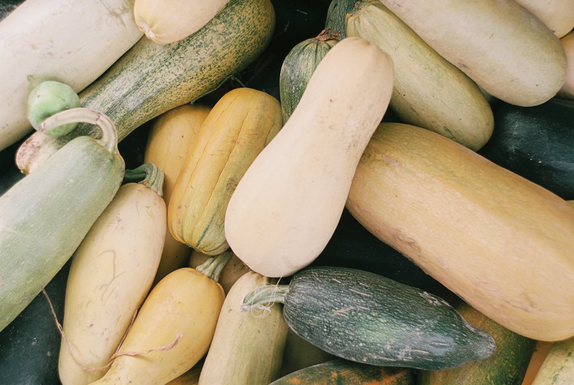 butternut and spaghetti squashes